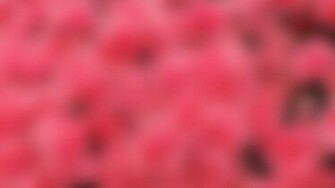 Pink Wallpaper Desktop
