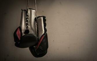 Boxing Gloves Wallpaper Net