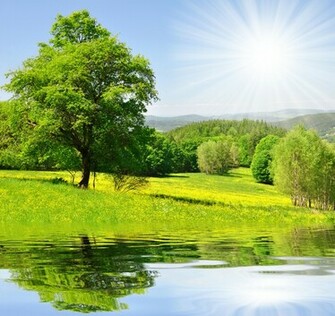 Spring Wallpaper Desktop HD
