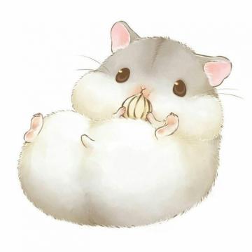 Cute Hamster Wallpaper S Home