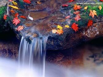 Spring WallpaperHD Wallpaper