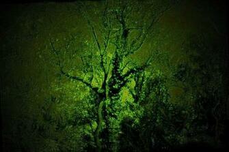 Celtic Tree Of Life Wallpaper
