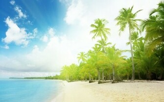 Summer Desktop Wallpaper Which Is Under The