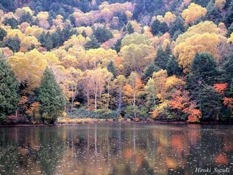 Autumn Scene Fall Desktop