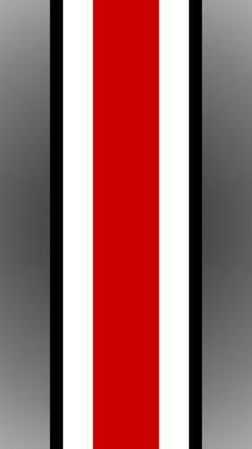 The Ohio State University Buckeyes Football Helmet Strip iPhone