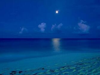 Beach By The Moon Light Computer Desktop Wallpaper Pictures