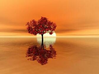 Background Wallpaper Non Nude Lost Tree