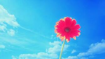 Bright Flower