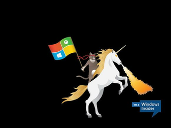 Windows Insider Ninjacat