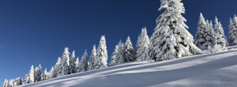 Best Morzine Ski Runs Solutions