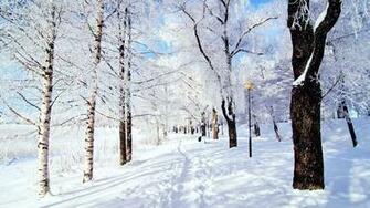 Snow Scenes Wallpaper
