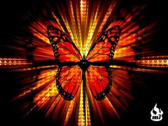 Cool Butterfly Wallpaper Background Hq