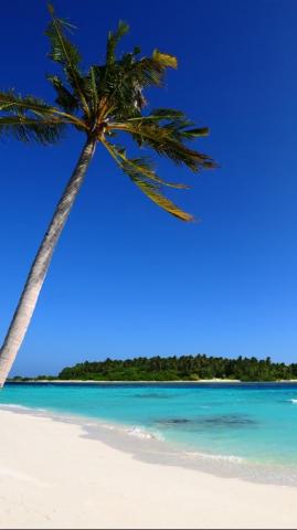 Earth Beach