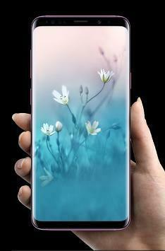 Huawei Nova Wallpaper For Android Apk