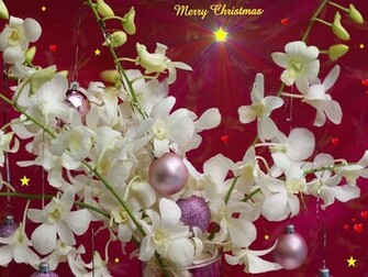 Merry Christmas Desktop Cute Wallpaper Background
