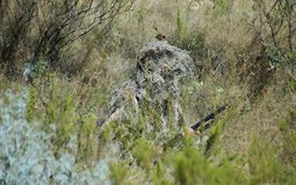 Ghillie Suit Wallpaper