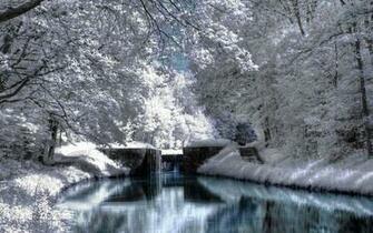 Winter Scenes For Desktop