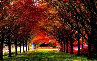 Fall Computer Wallpaper Background