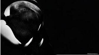 Best Documentaries Of Why Blackfish Matters Heso Magazine