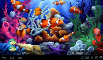 In Fish Feature Change Make Bubbles When Be Touched