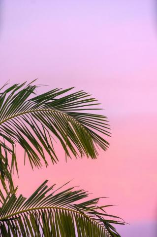 Summer Wallpaper HD Hq