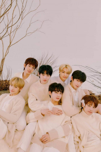 Enhypen All Members Sab4fyw1zaycshhj Wallpaper