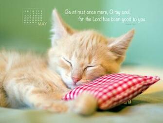 May Rest Desktop Calendar Monthly Calendars Wallpaper