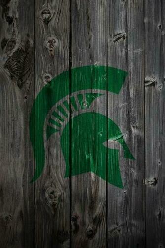 Michigan State Wallpaper Msu Spartans Field Hockey