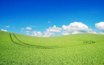 Beautiful Green Landscape Wallpaper HD