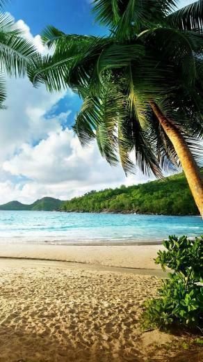 Beach Live Wallpaper Android Apps On Google Play