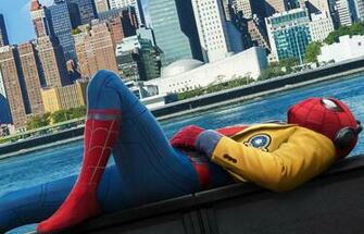 Tom Holland HD Wallpaper Background Image
