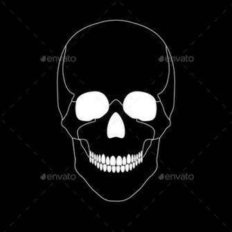 White Skull On A Black Background Stock Photo Photodune