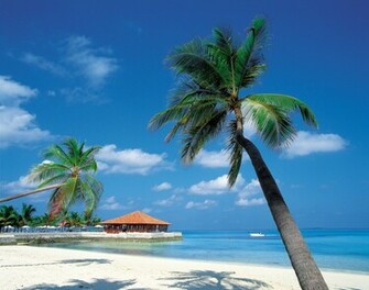Caribbean Islands Hotels Dubai Wallpaper