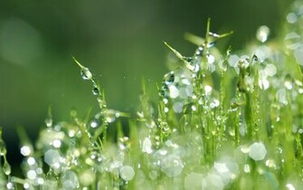 Wallpaper Photo Photos Water Drops Full HD