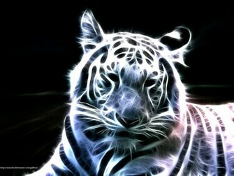 White Bengal Tiger Wallpaper