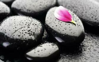Stone Flower Desktop Pc And Mac Wallpaper