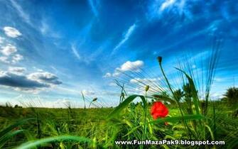 Nature High Definition Wallpaper Pictures