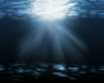 Ocean Floor Wallpaper
