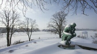 The Thinker Wallpaper Auguste Rodin