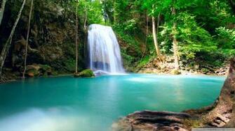 Forest Falls Summer Wallpaper