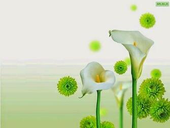 Green And White Wallpaper