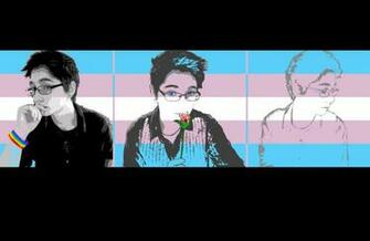 Tryptic Style Transgender Flag By Papershibuya
