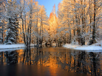 Warm Glow Winter Wallpaper Thanking Our Overlords Money And