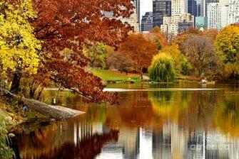Autumn In New York Escola De Idiomas Galdomara
