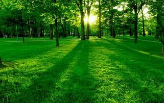 Descargar Fondos De Pantalla Hermosas Praderas Verdes HD Widescreen