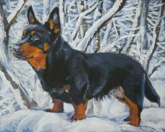 Winter Lancashire Heeler Dog Photo And Wallpaper Beautiful
