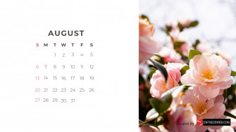 Beautiful Flowers Monthly Calendar For Desktop Wallpaper And