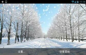 Winter Snow Live Wallpaper If Comes Enjoy The Together Now