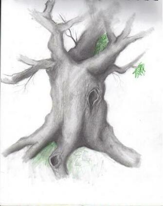 Pencil Art Wallpaper Of Nature Color Painting