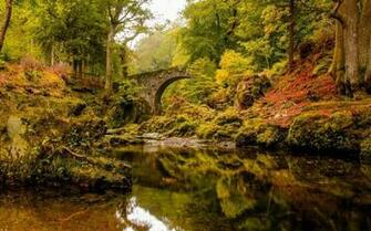 Overgrown Old Bridge HD Desktop Wallpaper